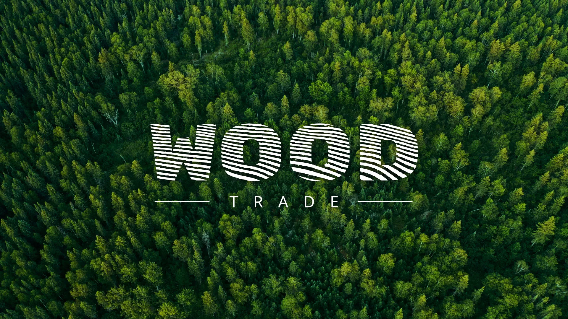 Разработка интернет-магазина компании «Wood Trade» в Кирсанове